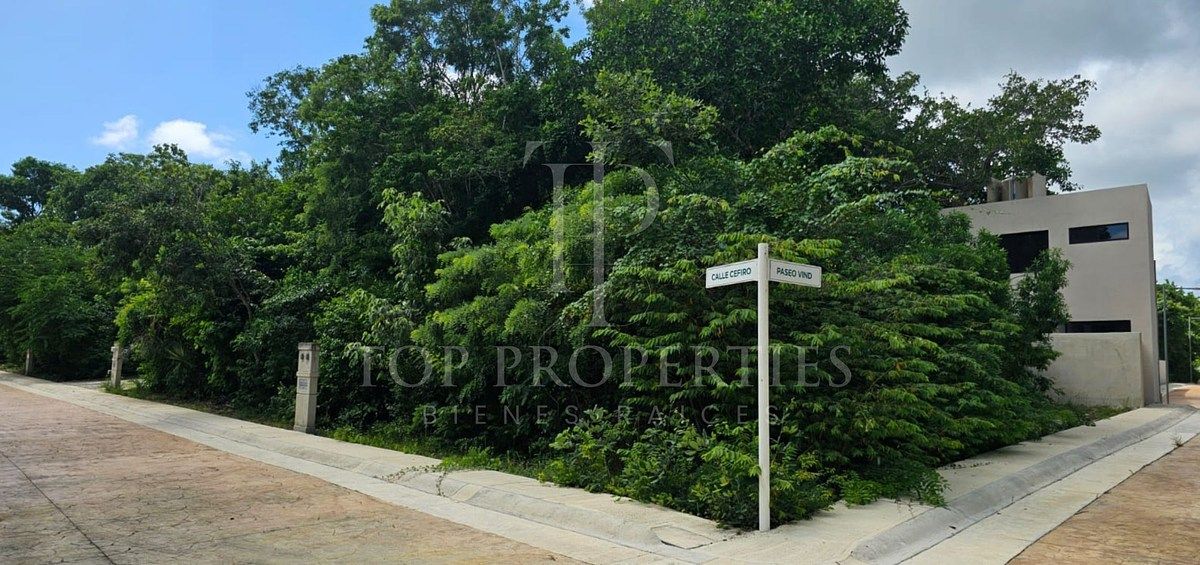 Terreno en Puerto Morelos, Puerto Morelos, foto 34 de 34