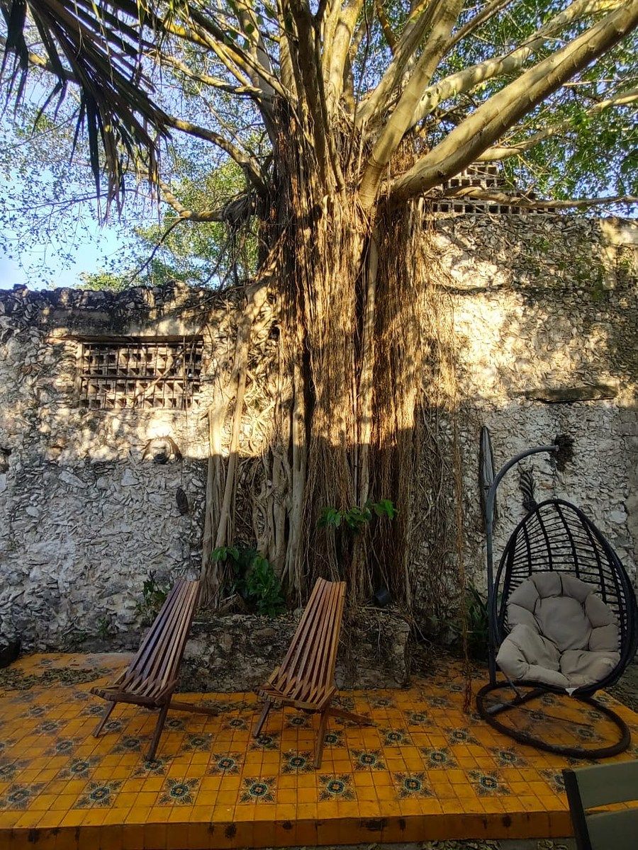 Casa en Mérida Centro, Mérida, foto 18 de 27