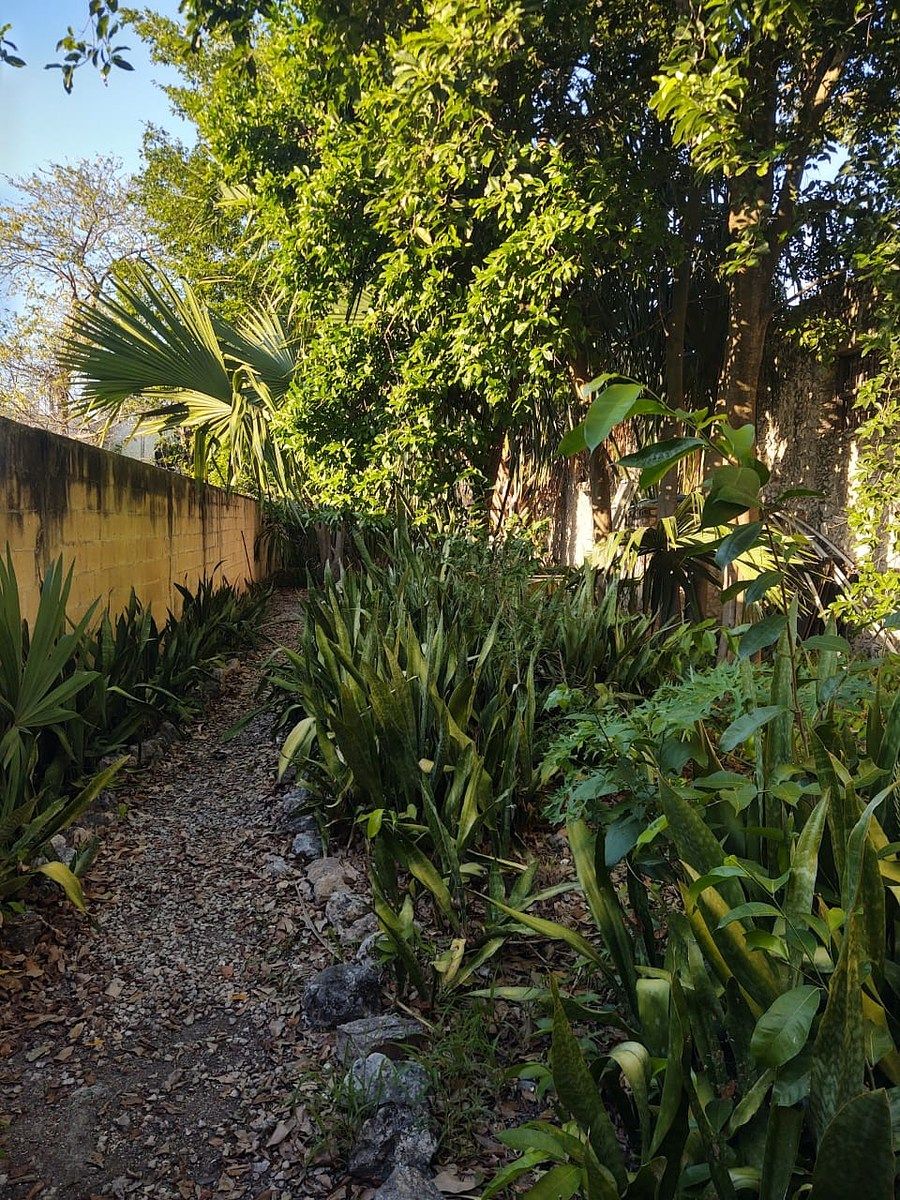Casa en Mérida Centro, Mérida, foto 22 de 27