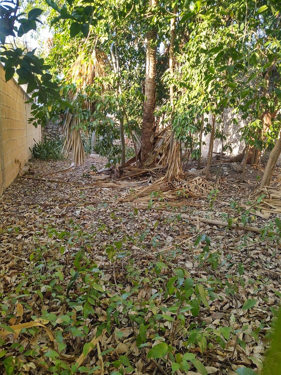 Casa en Mérida Centro, Mérida, foto 25 de 27