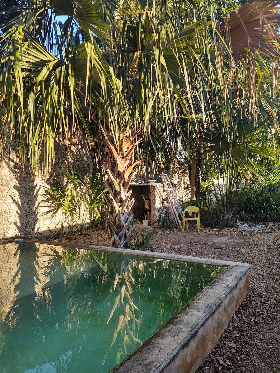 Casa en Mérida Centro, Mérida, foto 27 de 27