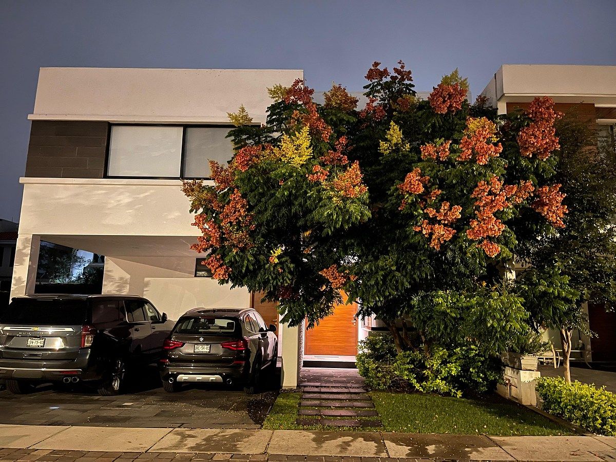 Casa em Valle Real, Zapopan, foto 6 de 31