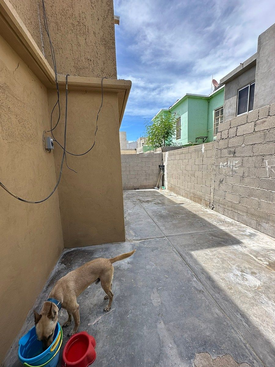 Casa em Balandra Puesta del Sol, La Paz, foto 11 de 25