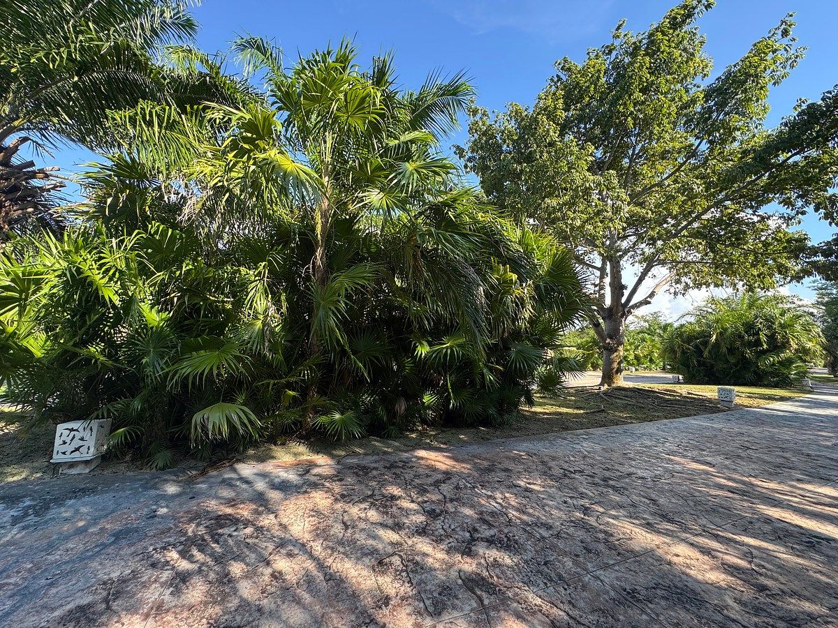 Lote em Yucatán Country Club, Mérida, foto 5 de 7
