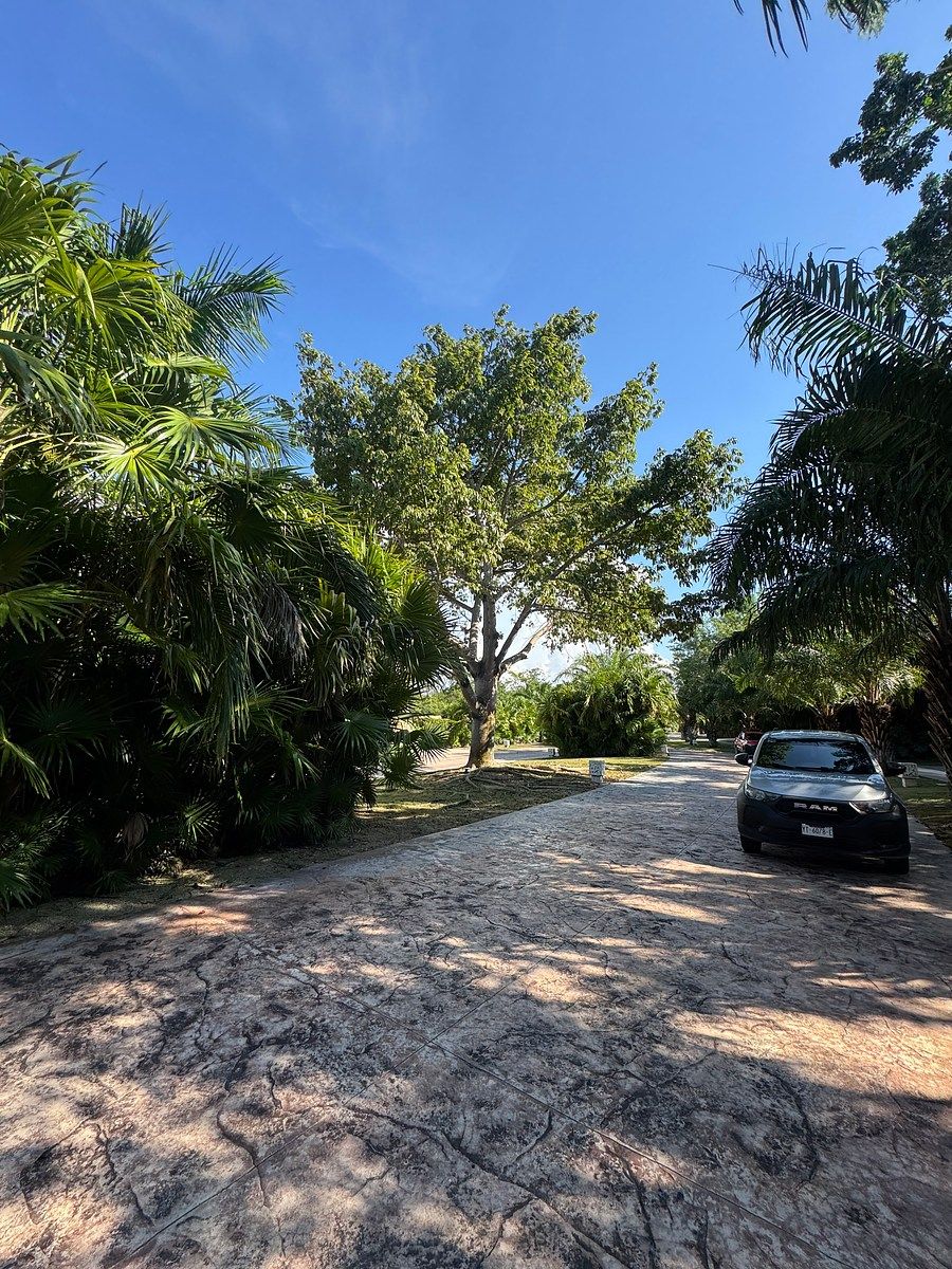 Lote em Yucatán Country Club, Mérida, foto 6 de 7