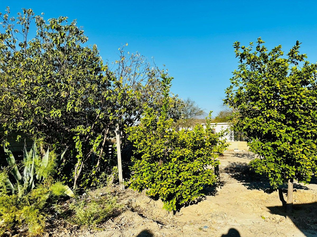Terreno en García, García, foto 2 de 12