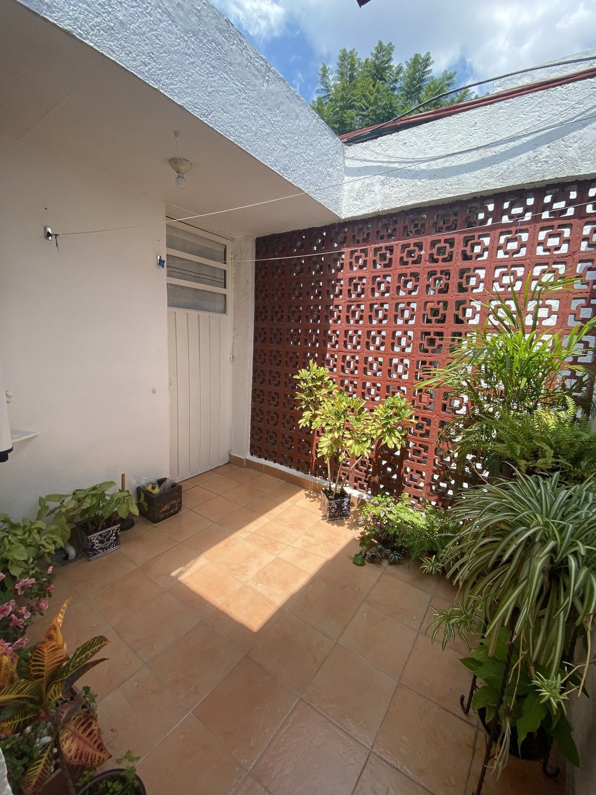 Apartamento em Cuadrante de San Francisco, Coyoacán, foto 12 de 27