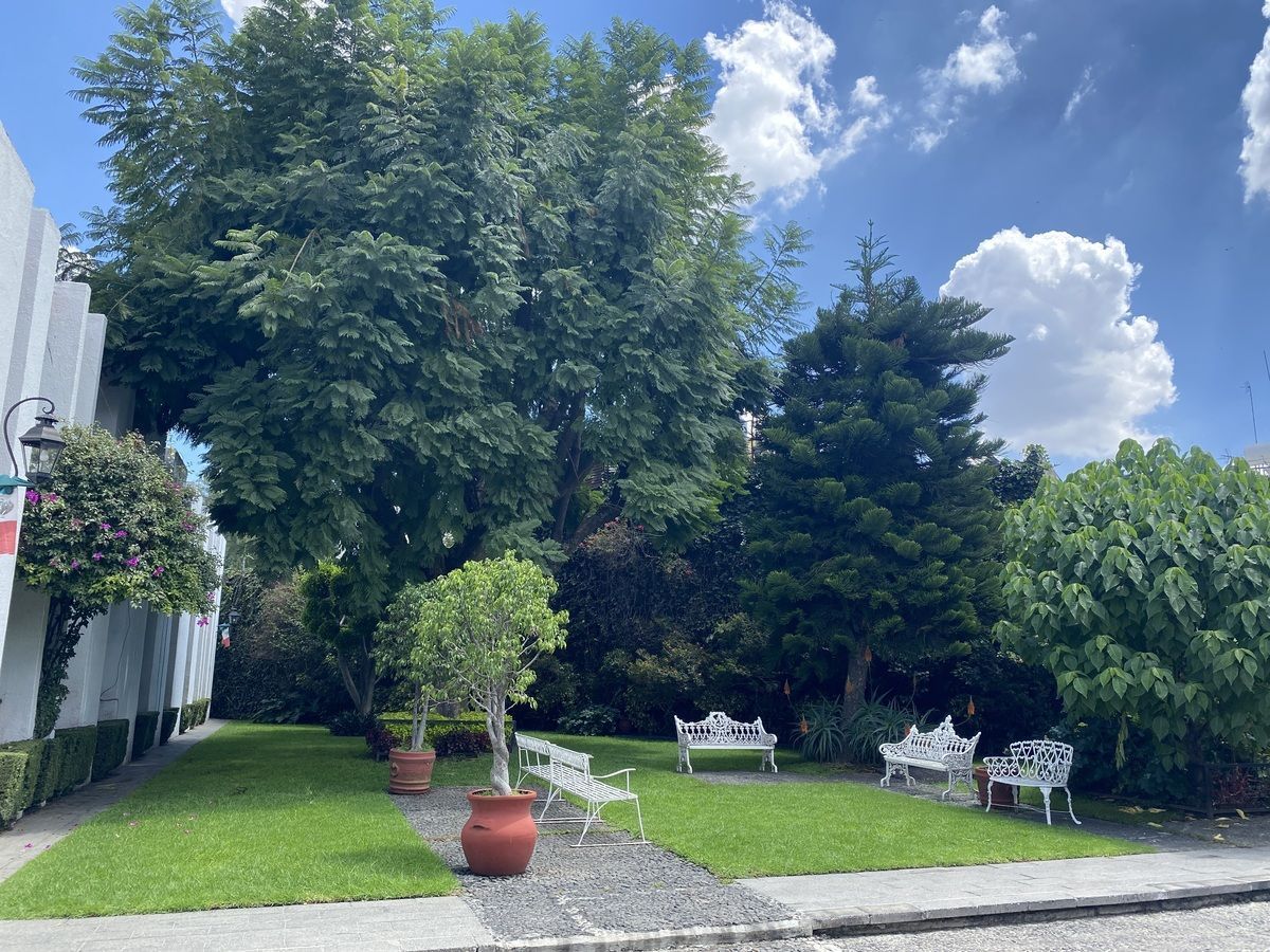 Apartamento em Cuadrante de San Francisco, Coyoacán, foto 27 de 27
