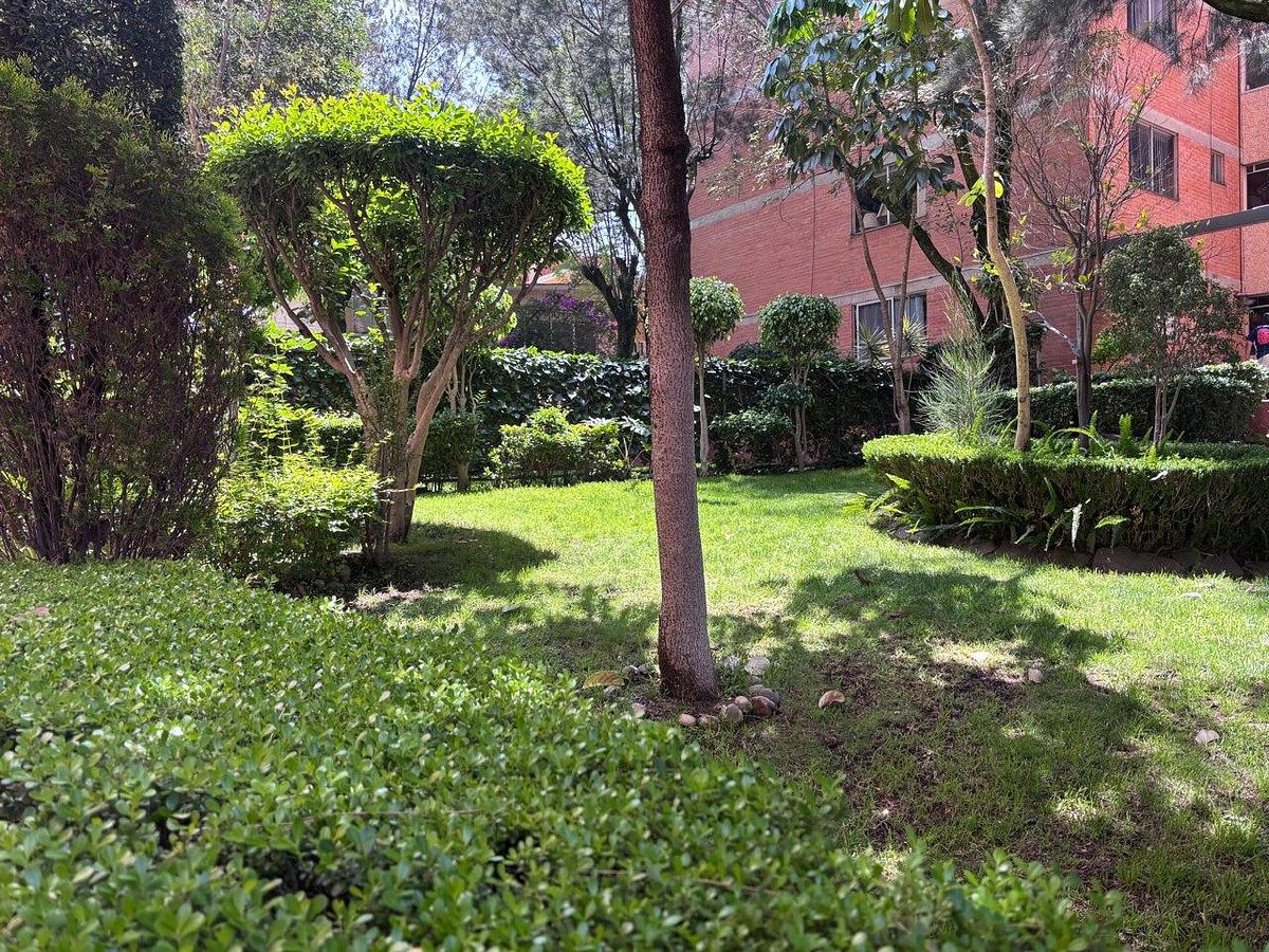 Apartamento em Lomas de Atizapán, Atizapán de Zaragoza, foto 17 de 17