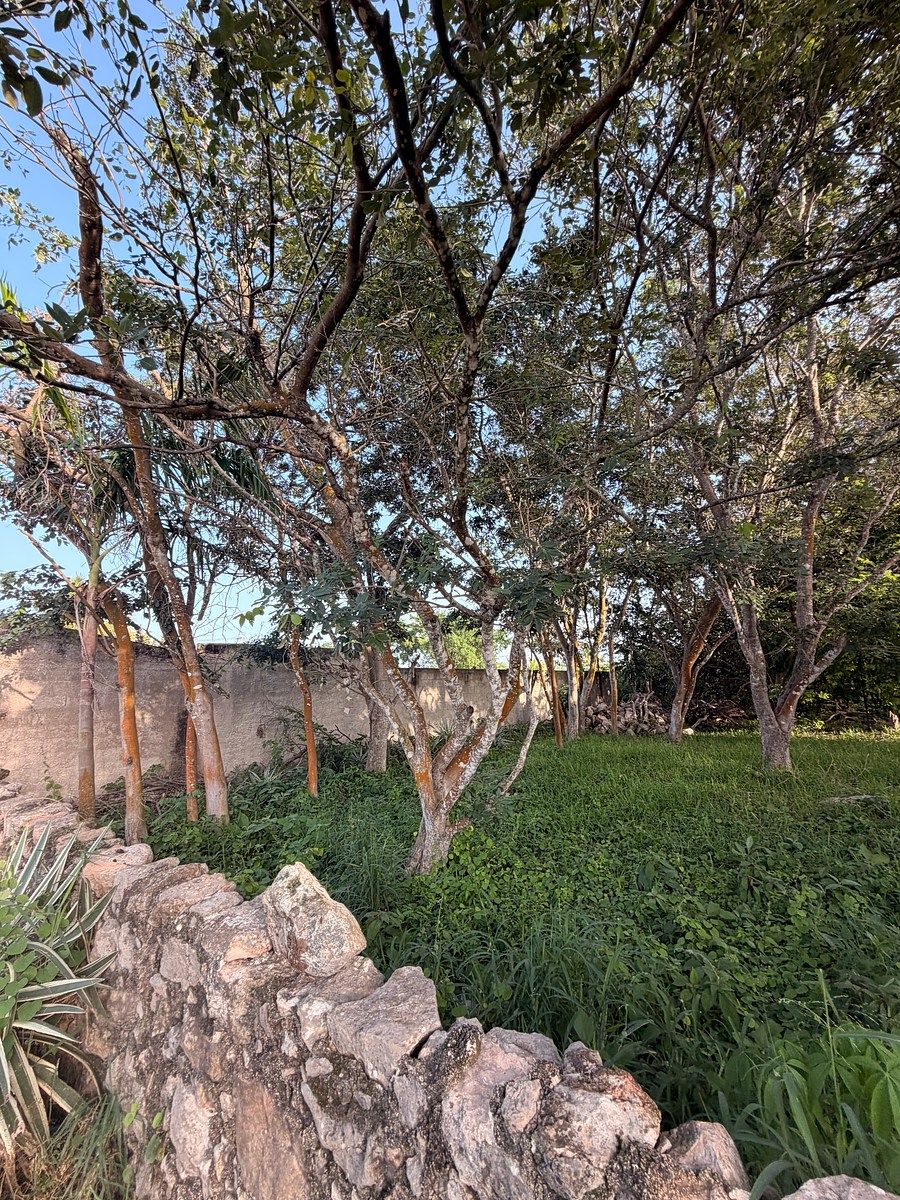 Lote em Chichi Suárez, Mérida, foto 5 de 11