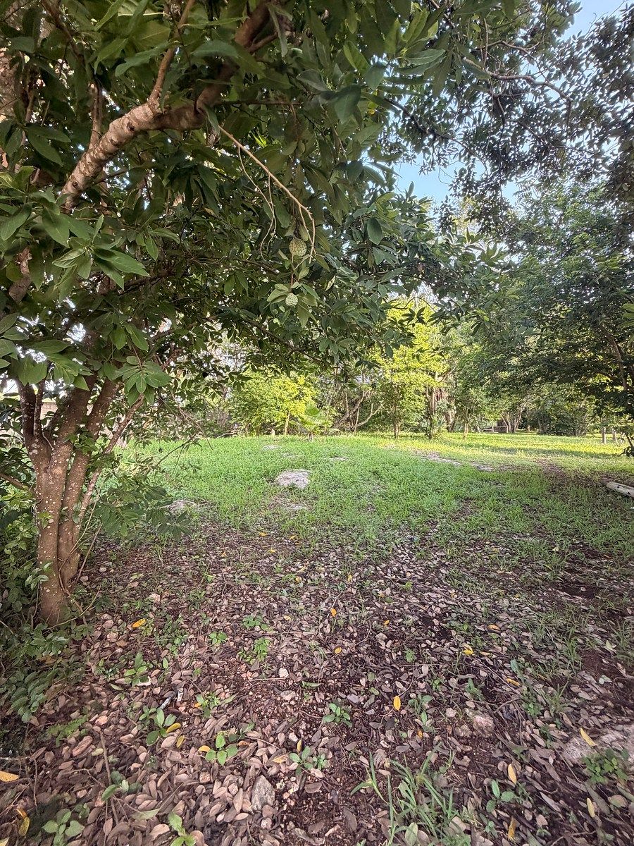 Lote em Chichi Suárez, Mérida, foto 6 de 11