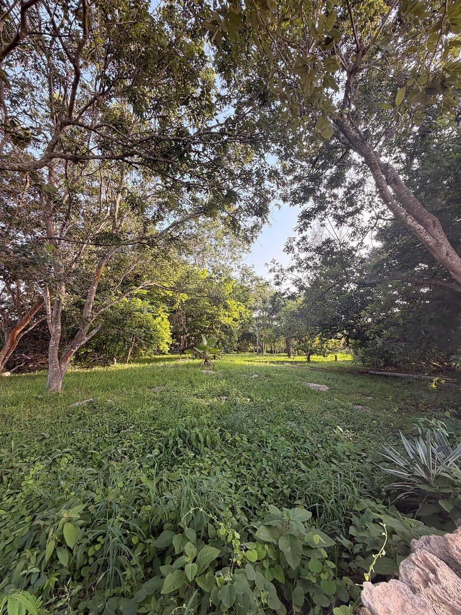 Lote em Chichi Suárez, Mérida, foto 7 de 11