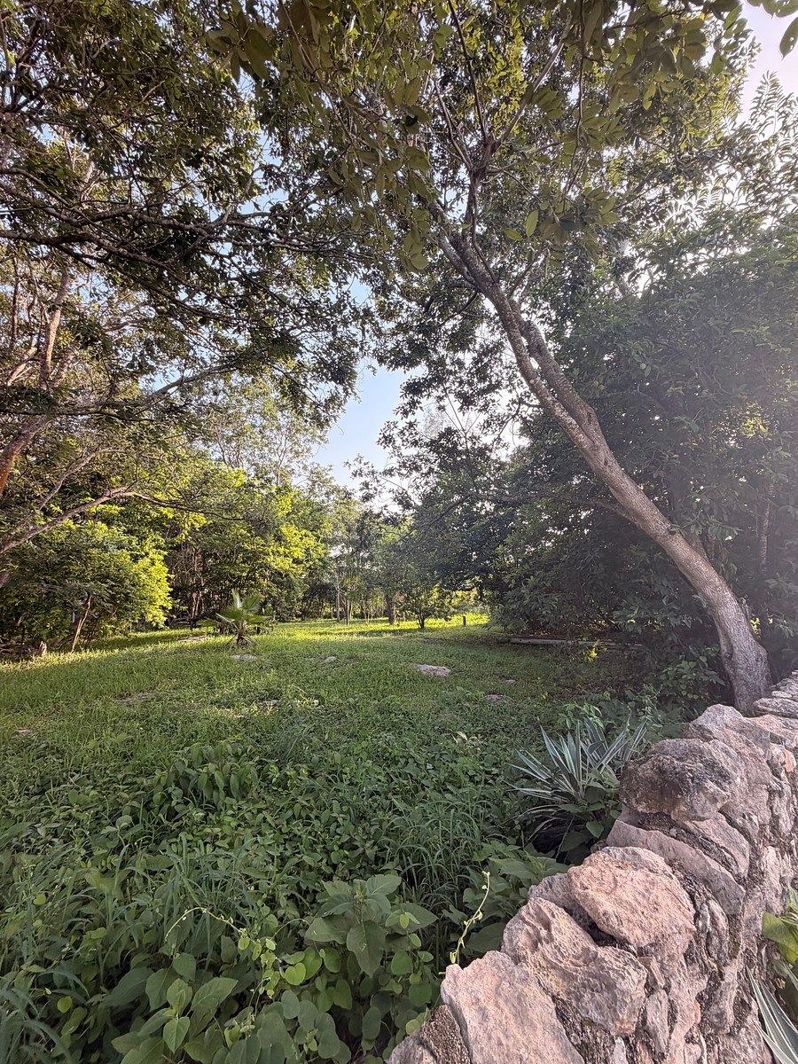 Lote em Chichi Suárez, Mérida, foto 8 de 11