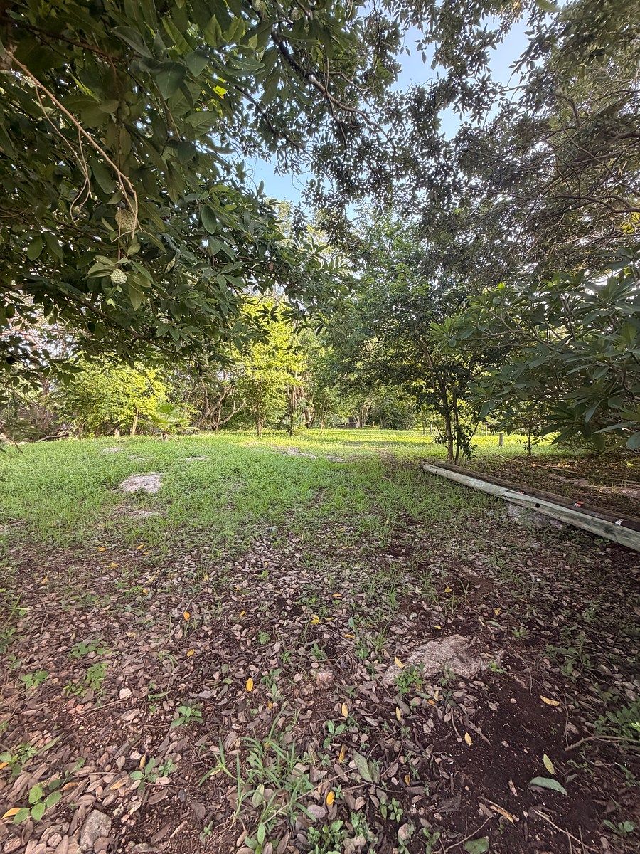 Lote em Chichi Suárez, Mérida, foto 9 de 11
