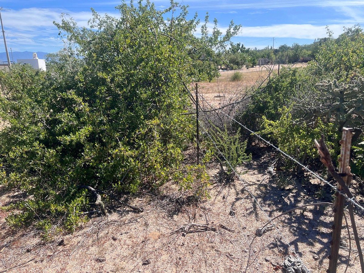 Lote em El Sargento, La Paz, foto 5 de 13