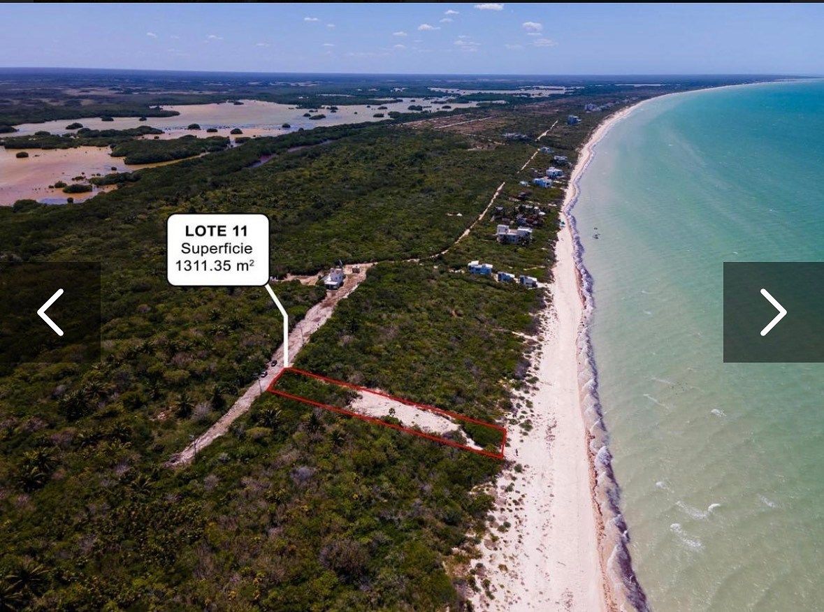 LAND FOR SALE ON THE FRONT LINE OF THE BEACH IN SISAL, YUCATÁN, photo 1 of 12