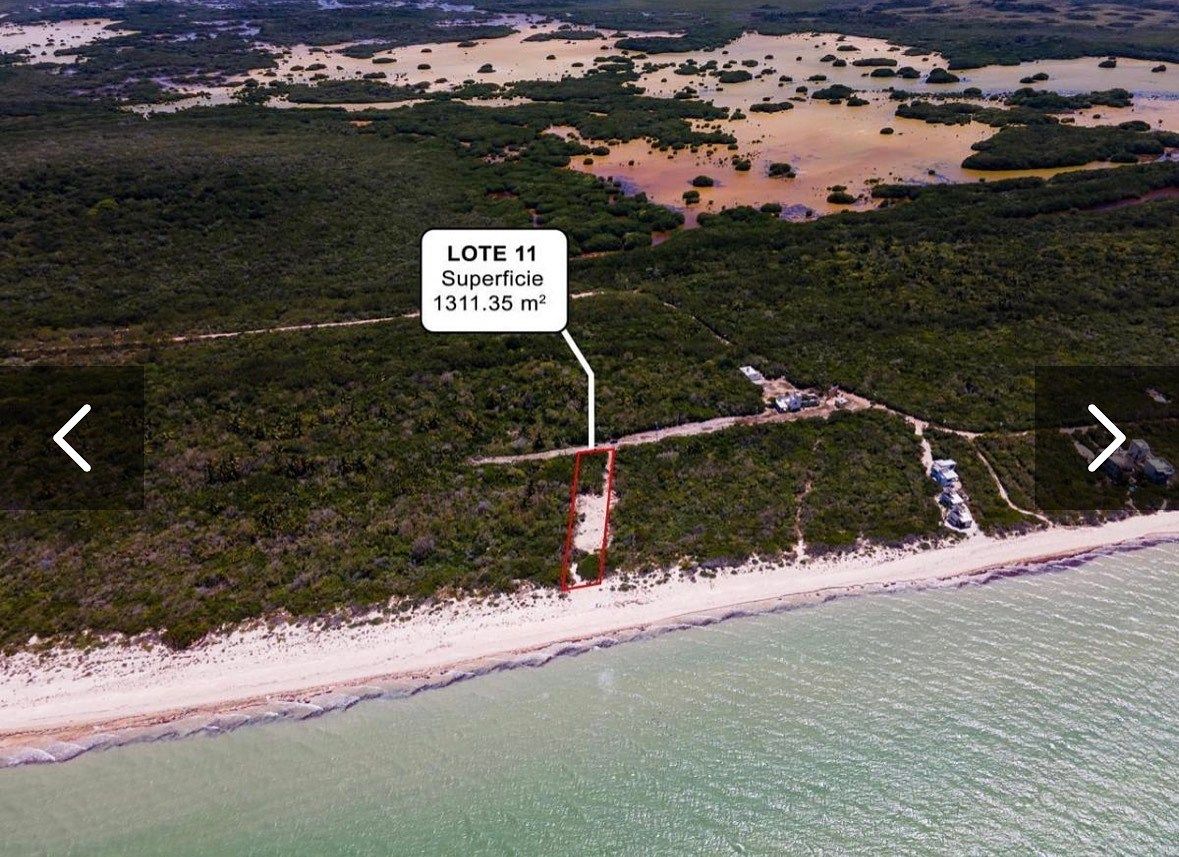 Lot in Sisal, Hunucmá, photo 5 of 12