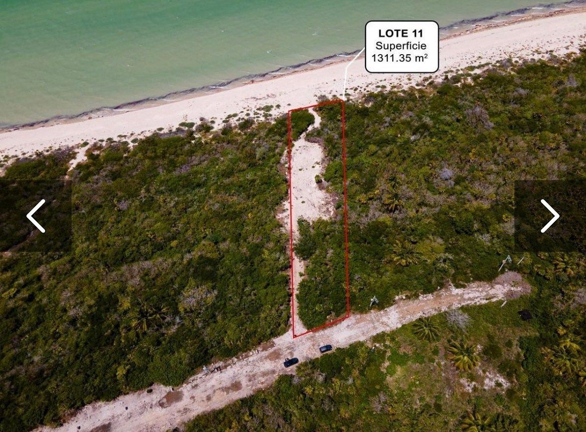 Lot in Sisal, Hunucmá, photo 7 of 12