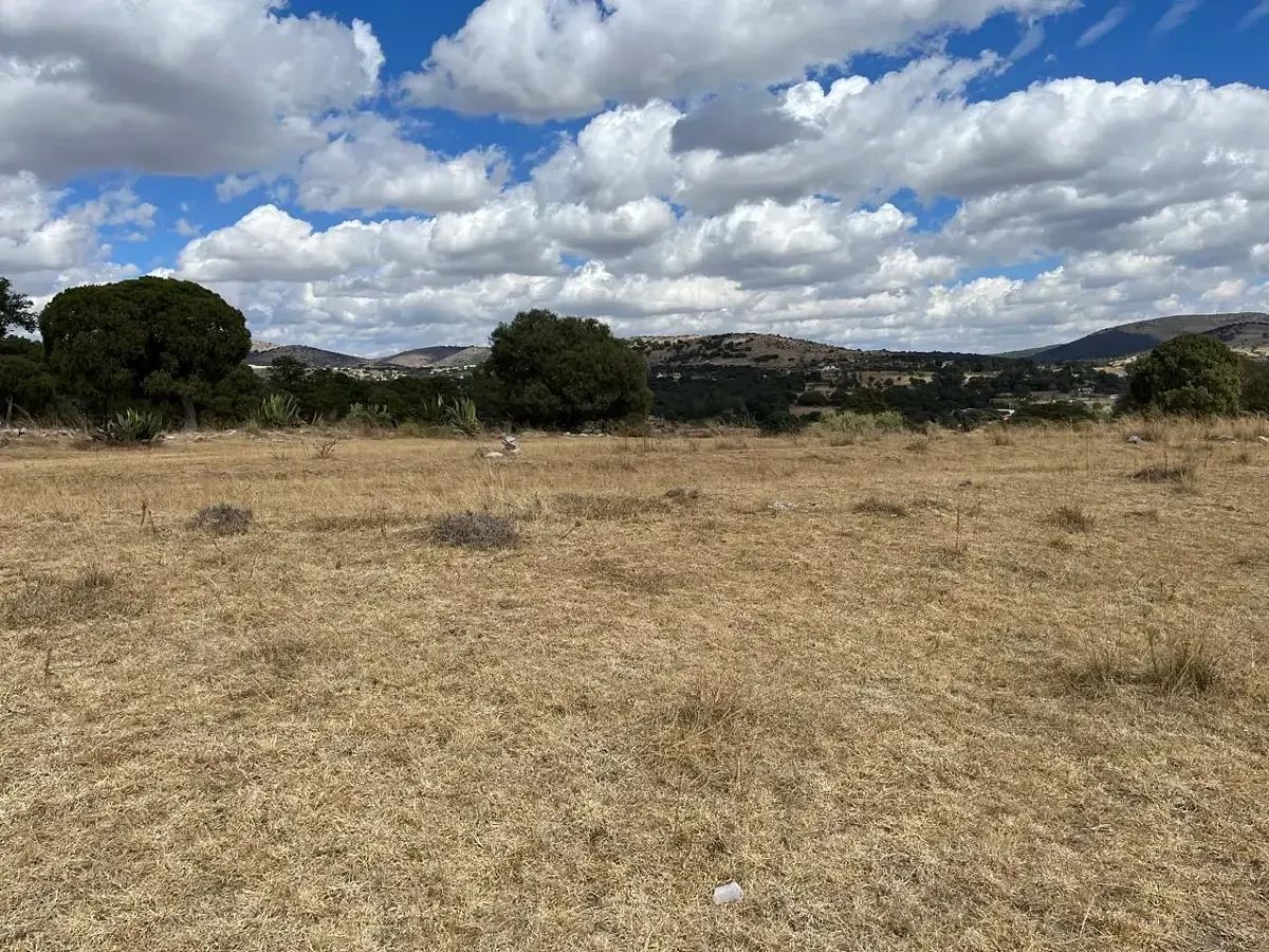 Terreno en Santa Cruz Alpuyeca, Cuautinchán, foto 5 de 6