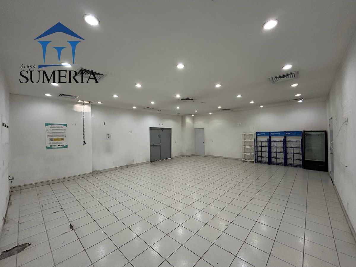 Commercial Storage Unit in Las Granjas, Chihuahua, photo 4 of 12