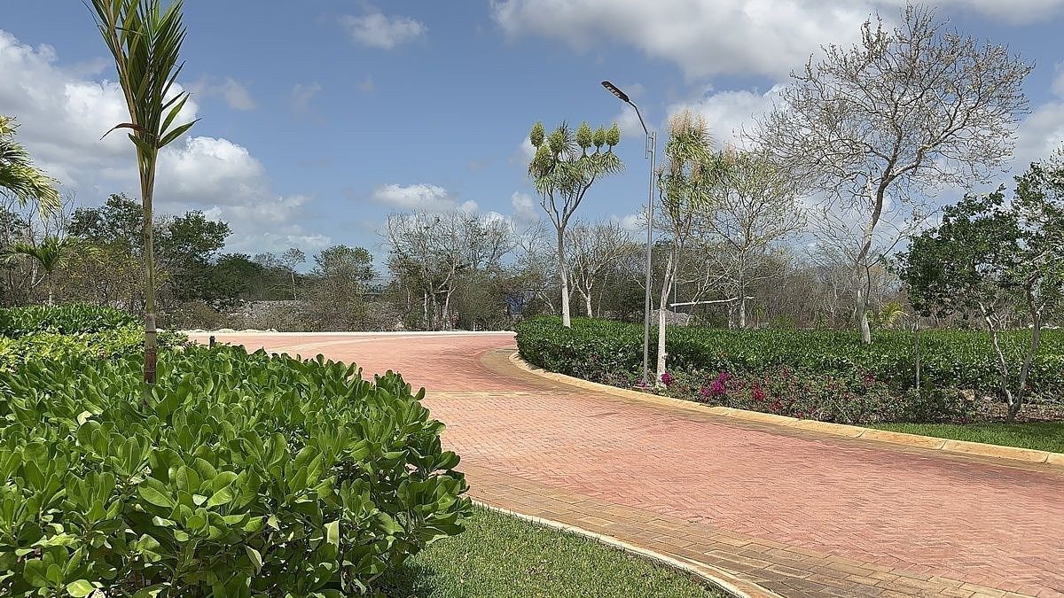 Lot in Chuburna de Hidalgo, Mérida, photo 3 of 23