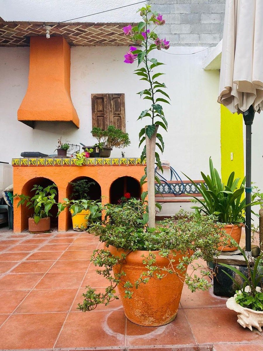 Casa em Contry Sol, Guadalupe, foto 15 de 16