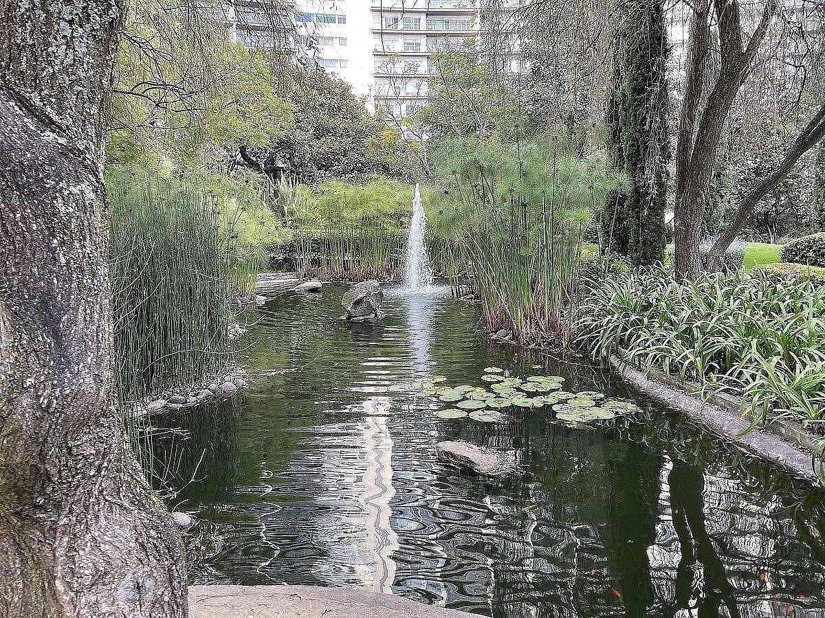 Departamento en Santa Fe Cuajimalpa, Cuajimalpa de Morelos, foto 22 de 26
