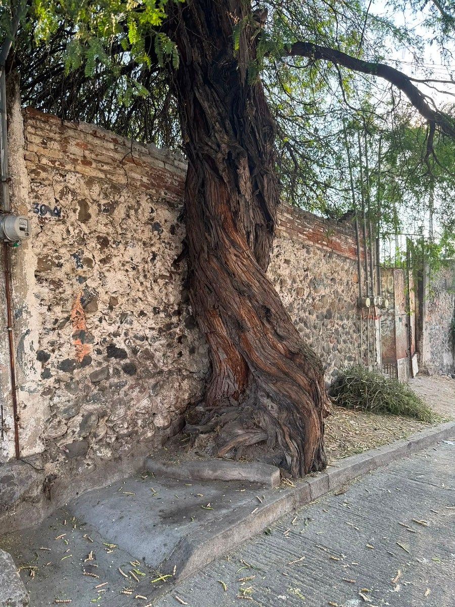 Terreno en Gabriel Tepepa, Cuautla, foto 18 de 25