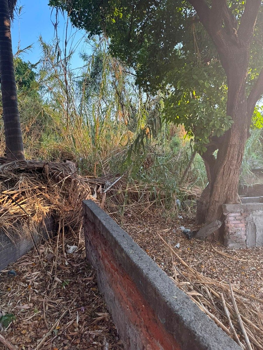 Terreno en Gabriel Tepepa, Cuautla, foto 23 de 25