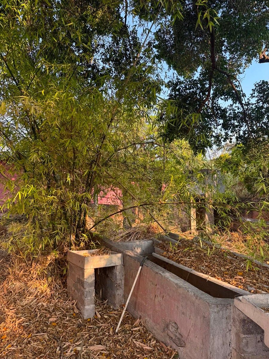 Terreno en Gabriel Tepepa, Cuautla, foto 25 de 25