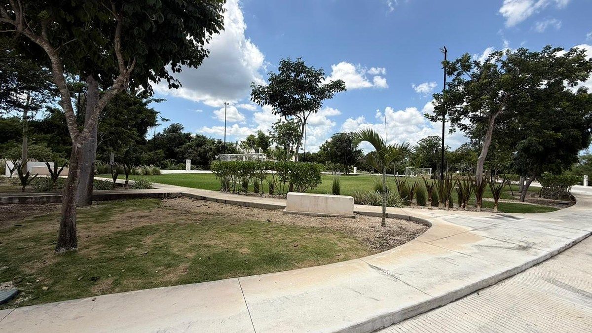 Lote em Tamanché, Mérida, foto 4 de 14