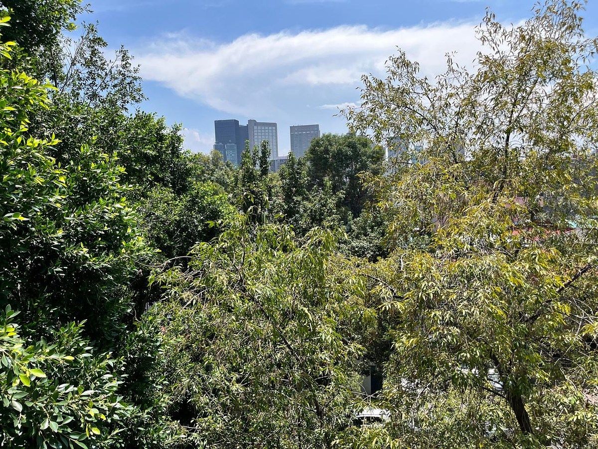 Apartment in Polanco IV Sección, Miguel Hidalgo, photo 14 of 16