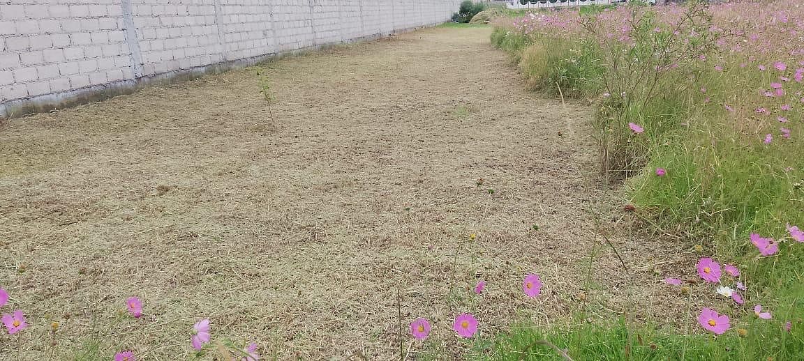 Lot in Reforma, San Mateo Atenco, photo 5 of 8