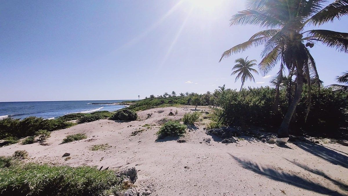 Lot in Punta Sam, Benito Juárez, photo 5 of 9