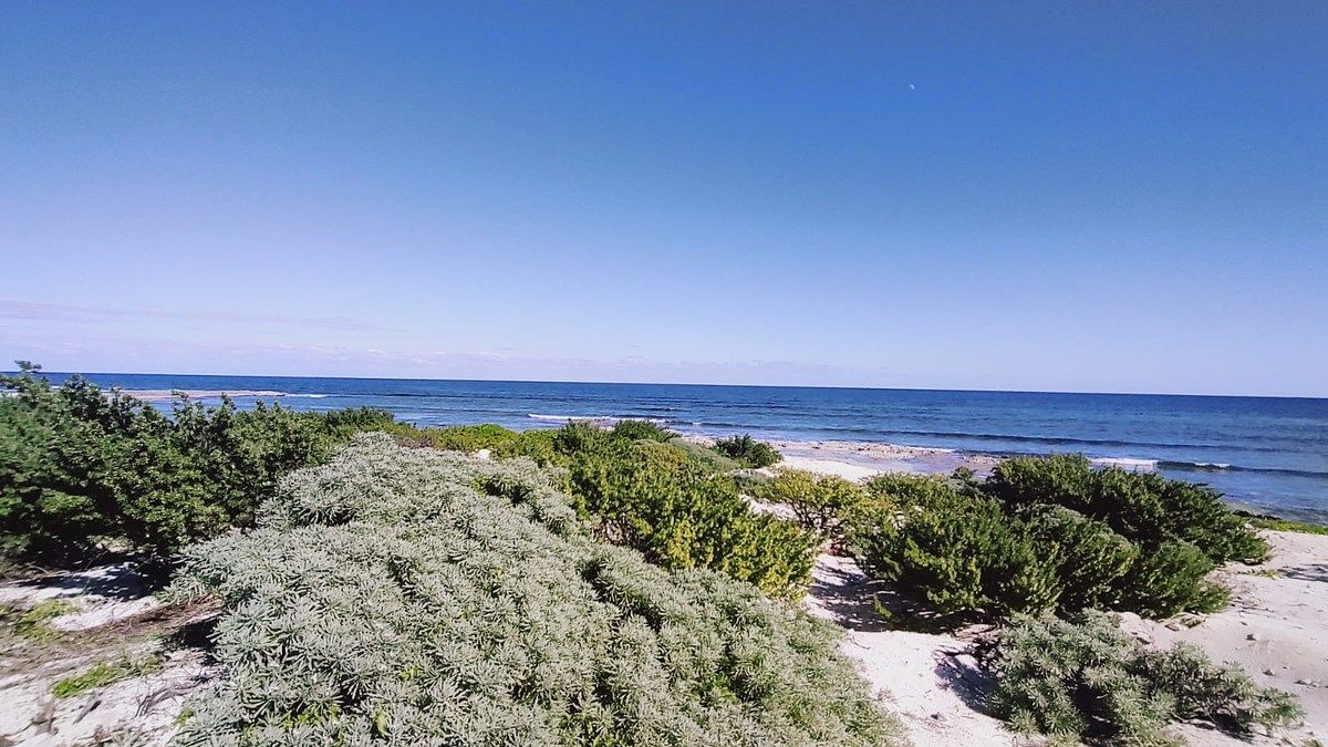 Land for Sale Bacalar, photo 1 of 9