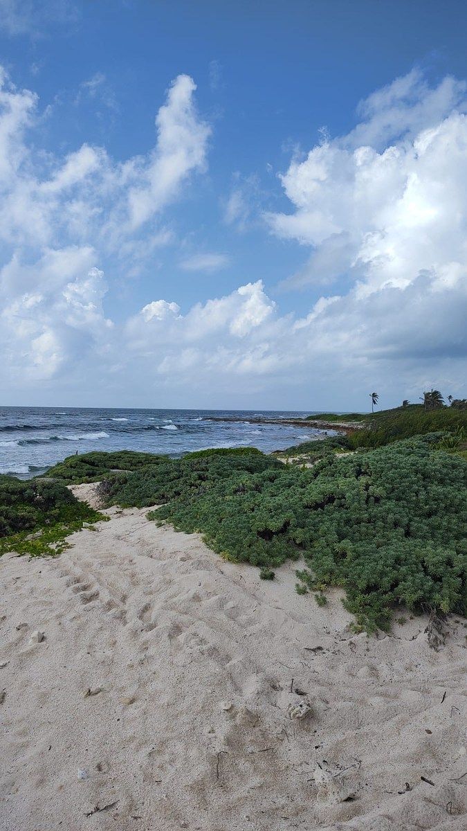 Lot in Punta Sam, Benito Juárez, photo 8 of 9