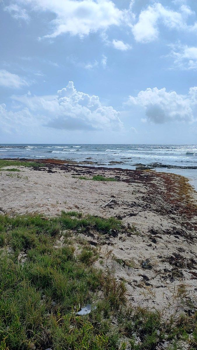 Lot in Punta Sam, Benito Juárez, photo 9 of 9