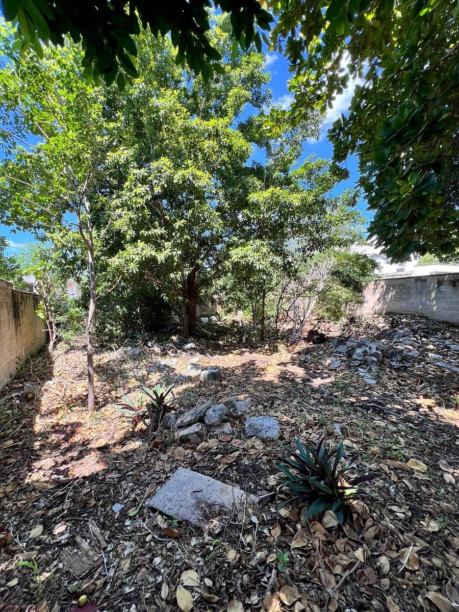 Casa en Montes de Ame, Mérida, foto 11 de 26