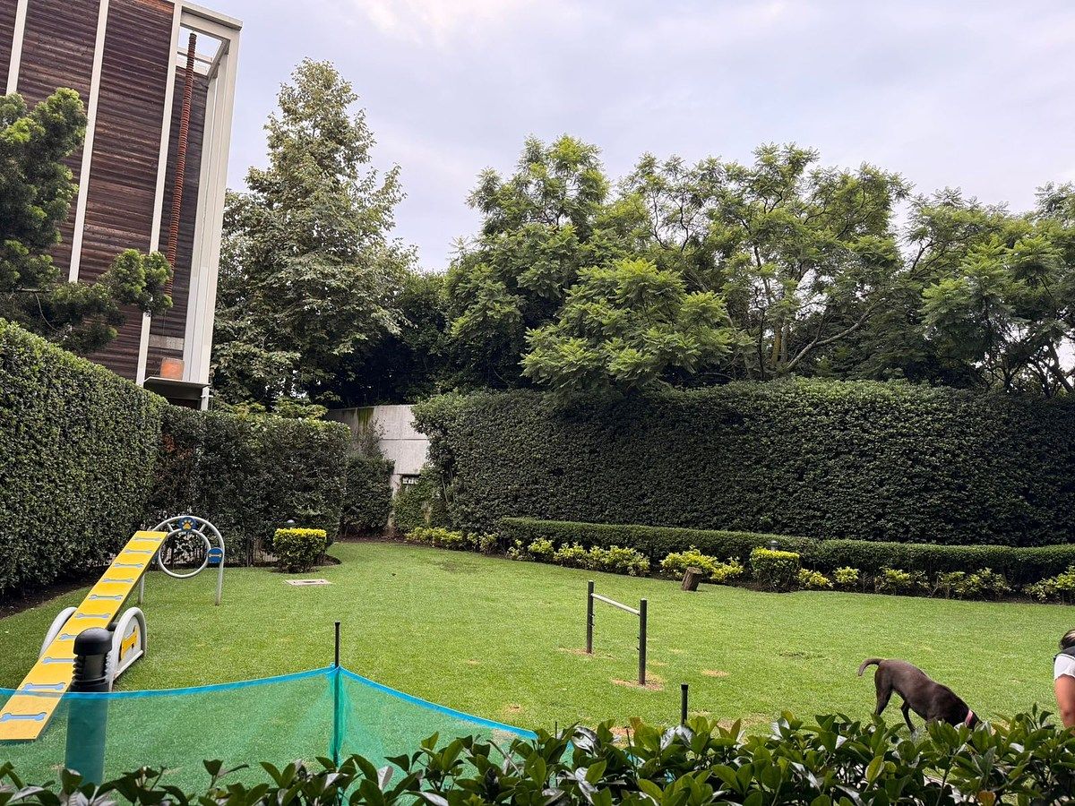 Apartamento em Lomas de Bezares, Miguel Hidalgo, foto 29 de 29