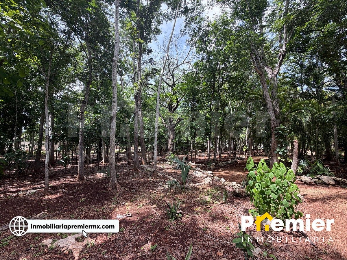 Quinta en Imi, Campeche, foto 10 de 14