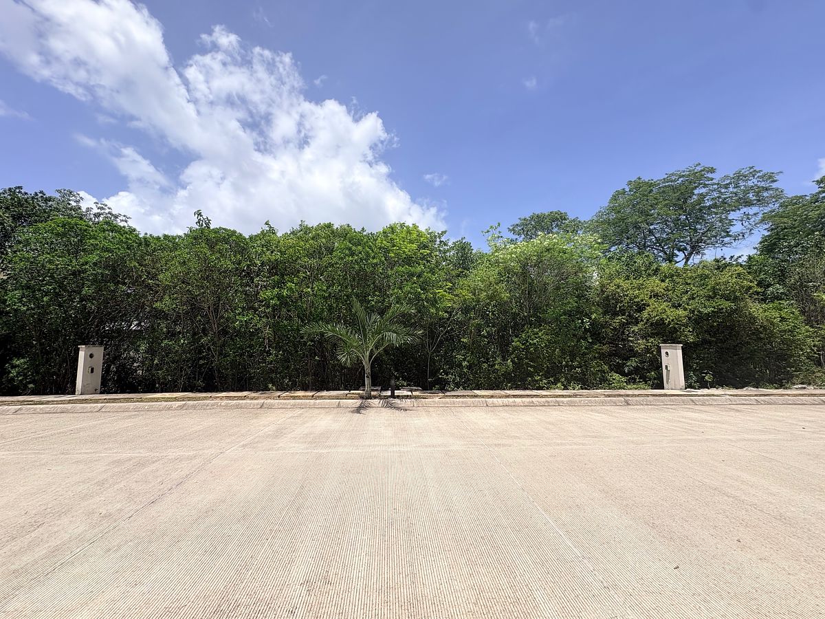 Terreno en Xamanha, Playa del Carmen, foto 10 de 16