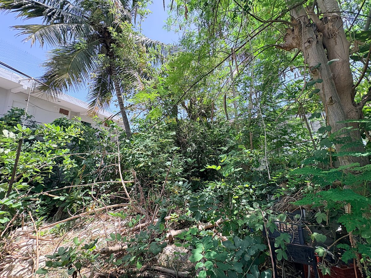 Terreno en Luis Donaldo Colosio, Playa del Carmen, foto 3 de 10