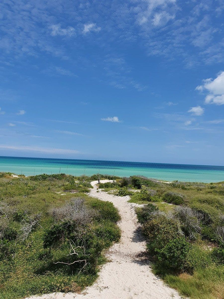 Gran Oportunidad de Terreno en Venta Frente al Mar en Sisal , Yucatan
