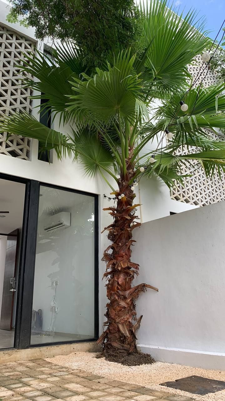 House in Gated Community in Chuburna de Hidalgo, Mérida, photo 15 of 15