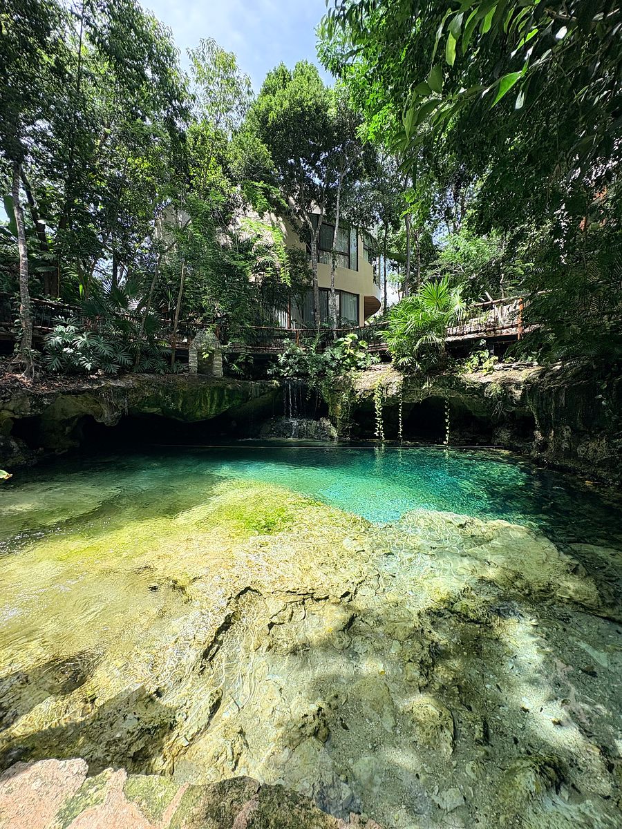 Apartment in La Veleta, Tulum, photo 19 of 32