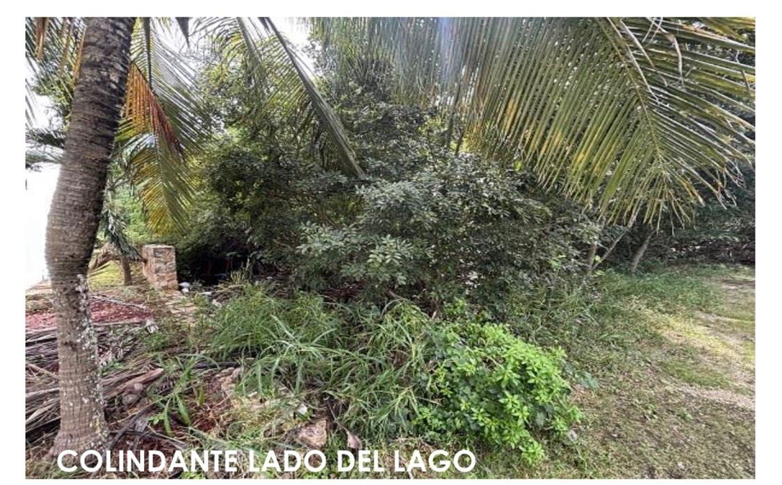 Terreno en Yucatán Country Club, Mérida, foto 10 de 11
