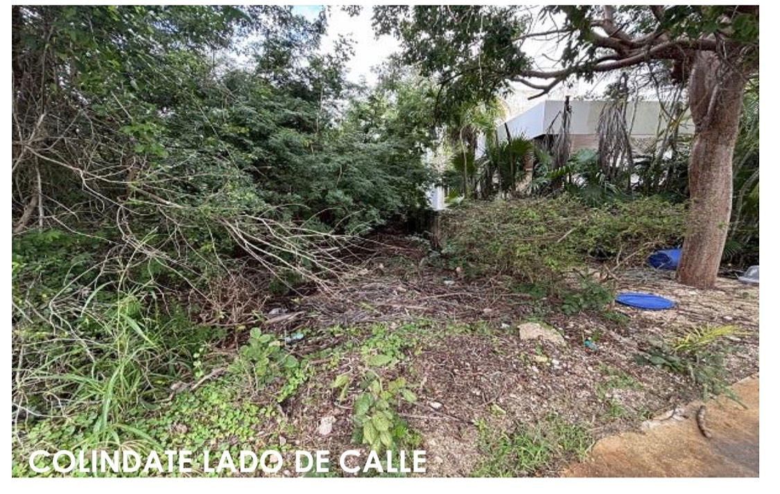 Terreno en Yucatán Country Club, Mérida, foto 9 de 11