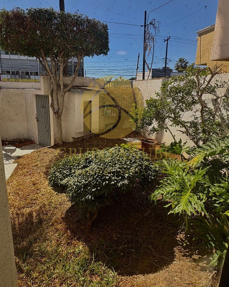 House in Las Palmas, Tijuana, photo 4 of 24