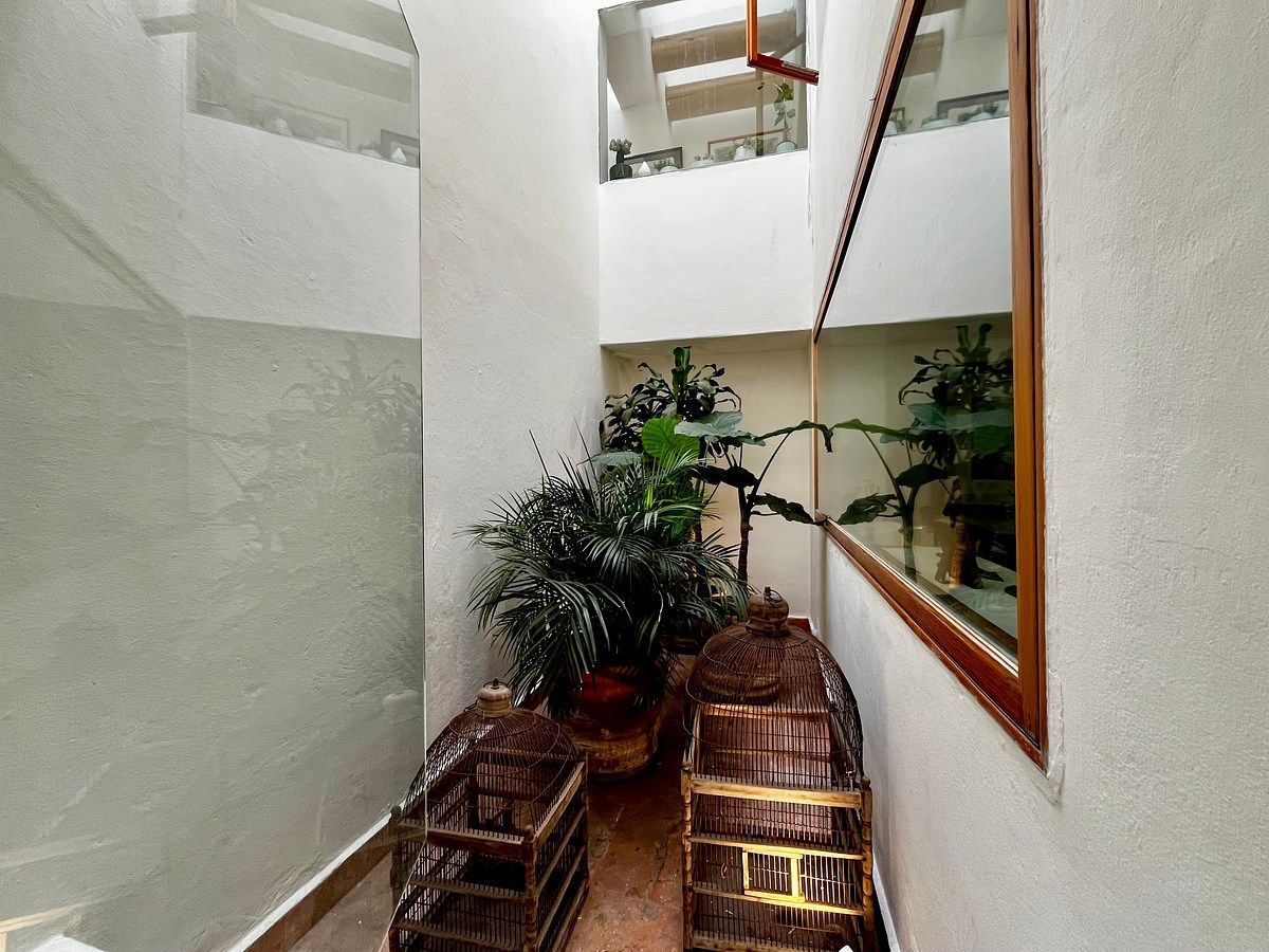 Casa en condominio en Jardines del Pedregal, Álvaro Obregón, foto 18 de 30