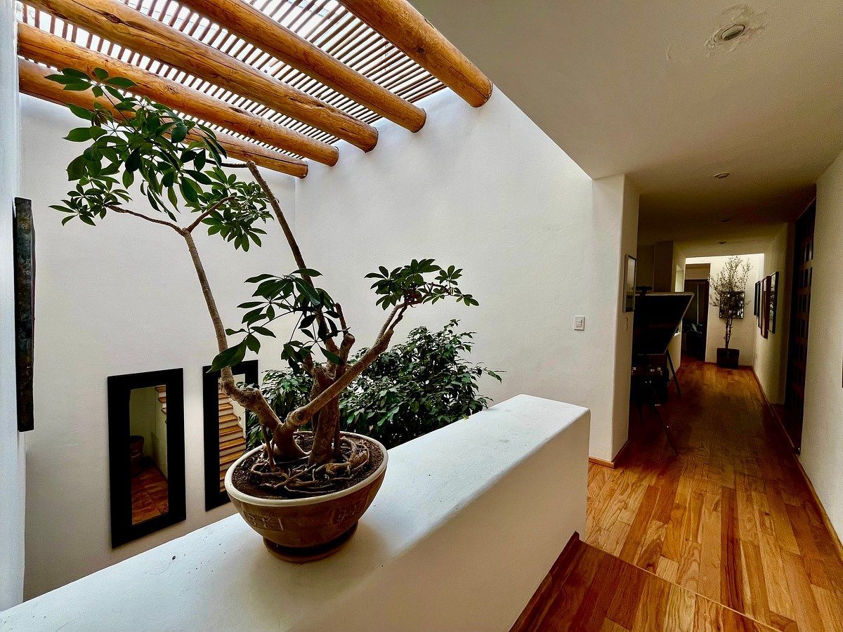 Casa en condominio en Jardines del Pedregal, Álvaro Obregón, foto 20 de 30